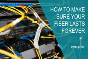 how to make sure your fiber lasts forever