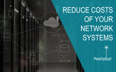 What do companies use to reduce the costs of their network systems?