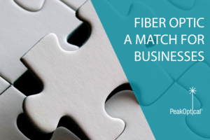 fiber optic - a match for business